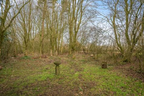 Woodland area