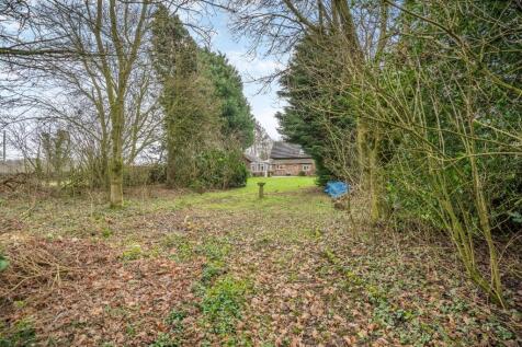 Woodland area