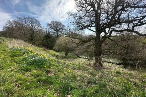 Copse