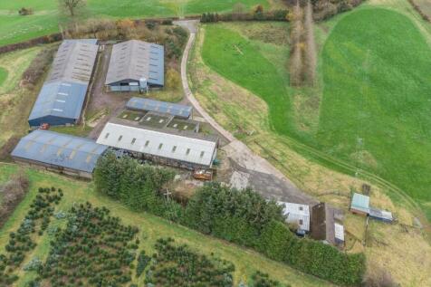 aerial of yard