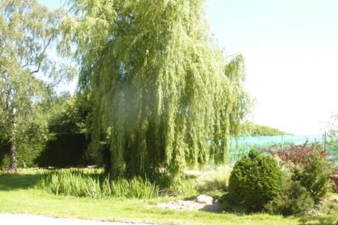 Pond view