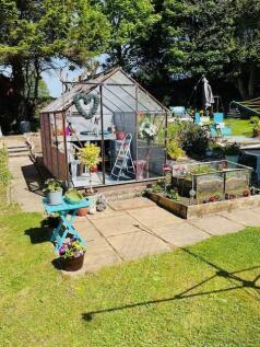 greenhouse.jpg