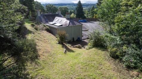 DJI_20240714100101_0032_D.jpg