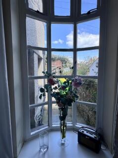 IMG_0906.jpeg