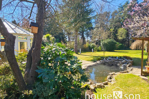 Garden 2