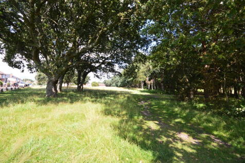 Park1