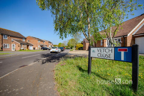 Vetch