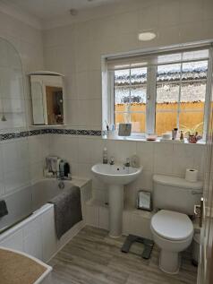 20241011125212760_original [1438547576].jpg