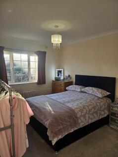 20241011125212992_original [1354661496].jpg