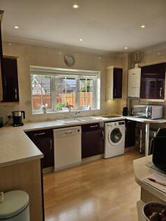 20241011125212908_original [1589542520].jpg