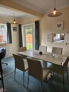 20241011125213044_original [1555988088].jpg