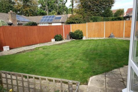 20241011125215226_original [373391752].jpg