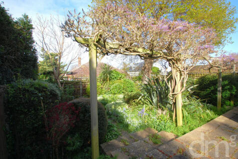 garden 3