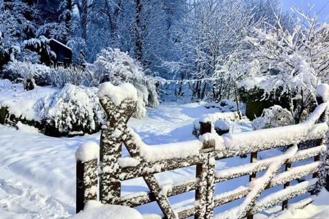 WINTER SHOT