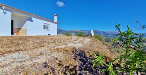 Property Image 28
