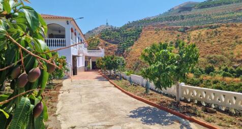 Property Image 5
