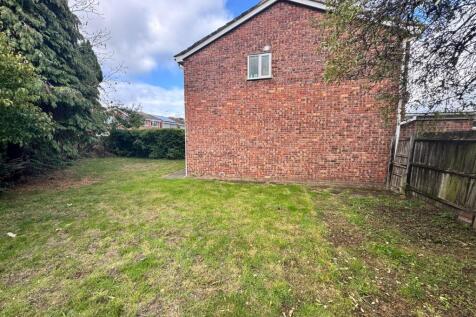 Back garden 4.jpg