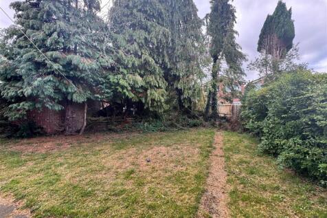 Back garden 5.jpg