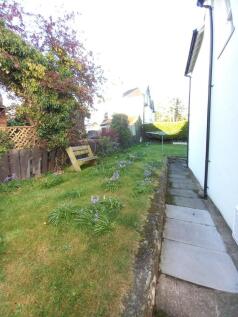 SIDE GARDEN 
