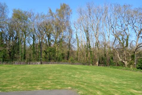 Property Image 39