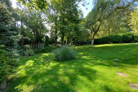 Property Image 42