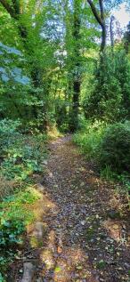 Property Image 52