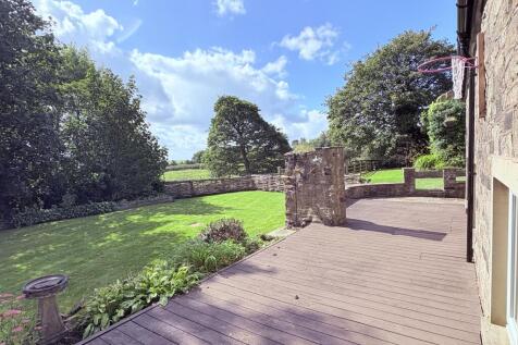 Back Garden
