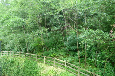 View from the bedroom window