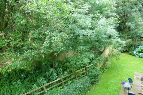 View from Lounge