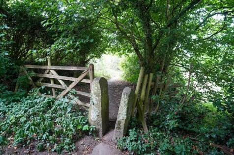 Property Image 44