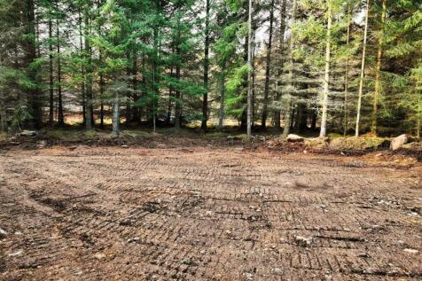 Plot 1