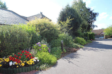 garden 3