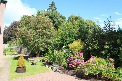 garden 2