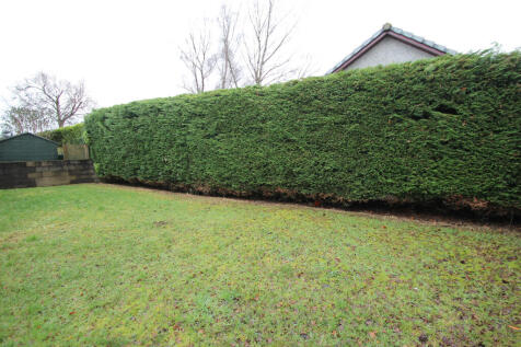 garden 3