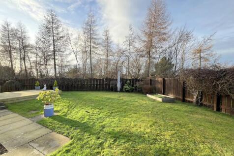 Garden 4