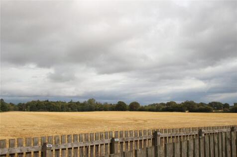 Picture No. 16