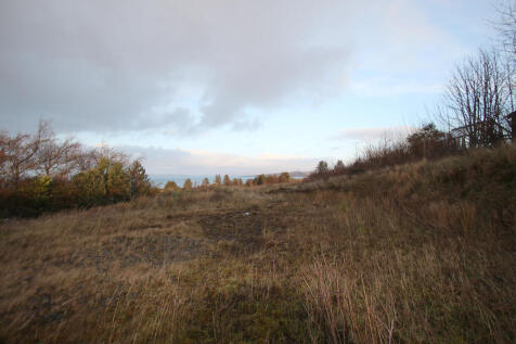 view 4