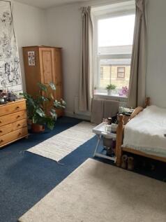 IMG_2377 Medium.jpeg