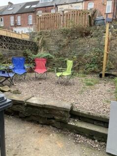 IMG_2387 Medium.jpeg