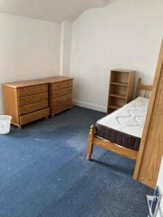 IMG_2738 Medium.jpeg