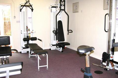 gymn.JPG