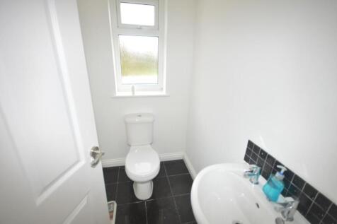 DSC_0008 (Medium).JPG