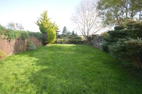 DSC_0036 (Medium).JPG