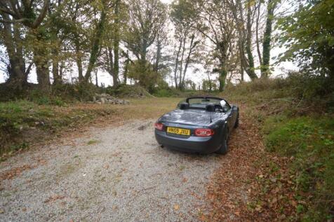 DSC_0030 (Medium).JPG