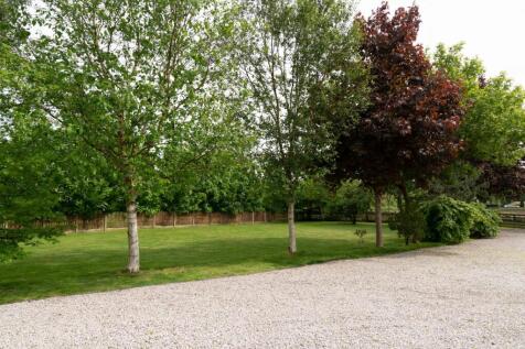 Tree lined driveway