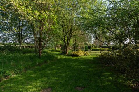 Woodland within the plot