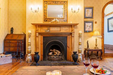 Ornate fire places