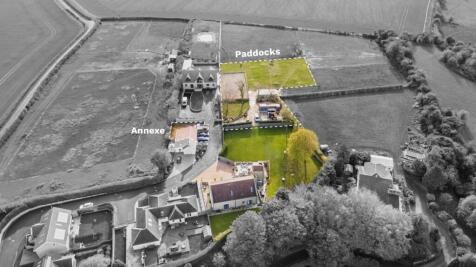 Approx. 3 acres of paddock