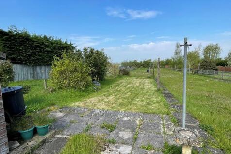 Garden (2).JPEG