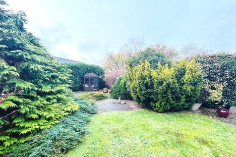 Garden.JPEG